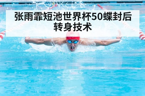 张雨霏短池世界杯50蝶封后转身技术